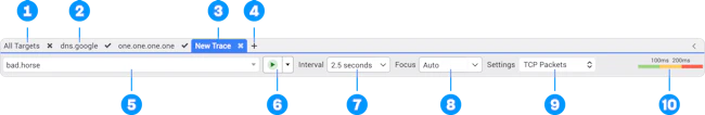 Illustration of PingPlotter's Target Bar